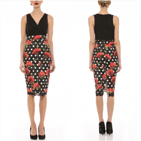 Alexia Admor Dresses & Skirts - Alexia Admor Romantic Rose Dot Dress